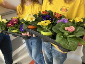 Wolontariusze trzymający tacki z kolorowymi kwiatami doniczkowymi na korytarzu szpitalnym.