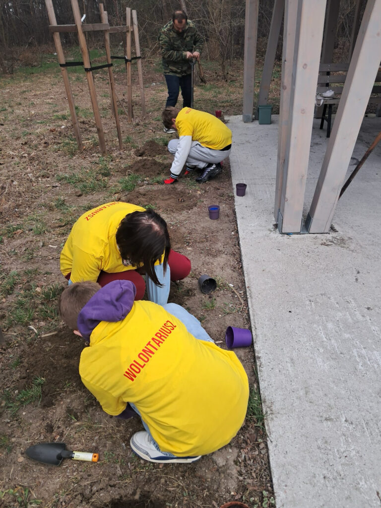 Grupa osób, w tym dzieci i dorosły, pracuje na zewnątrz przy sadzeniu roślin. Uczniowie w żółtych koszulkach z napisem „Wolontariusz” klęczą na ziemi i kopią dołki, a obok stoją małe doniczki i narzędzia ogrodnicze.